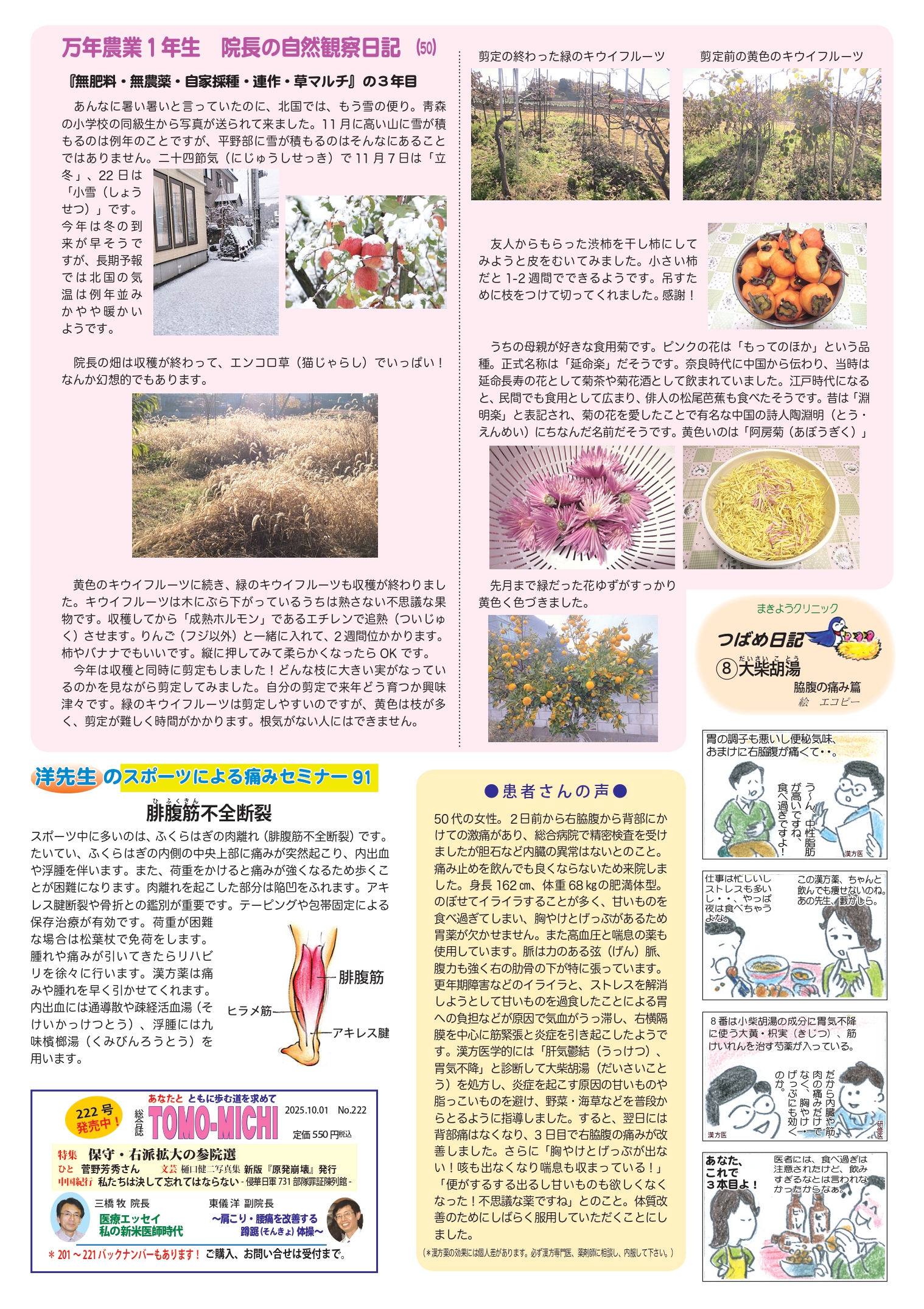 クリニックニュース12月号2面